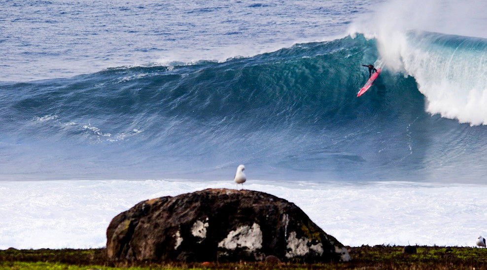 Bronn Quad (M) - Apex